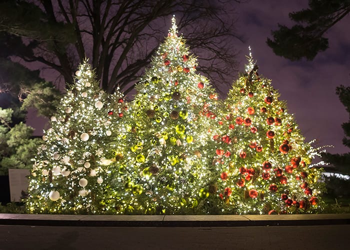 Rockettes Favorite Christmas Trees To See In New York City The Rockettes