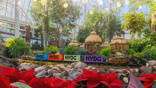 MCO DSC02416 holiday 510x287